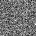 2020advg_image