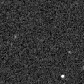 2020aefp_image