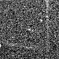 2020aegz_image
