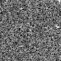 2020afi_image