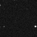2020akc_image