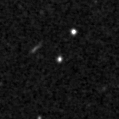 2020ale_image