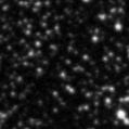 2020and_image