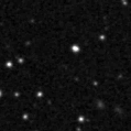 2020anp_image