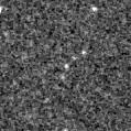 2020aor_image