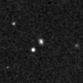 2020arg_image