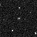 2020avm_image