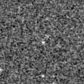 2020azx_image