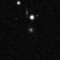2020bdm_image