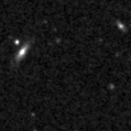 2020bfi_image
