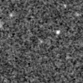 2020bgk_image