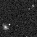 2020bis_image