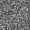 2020blc_image