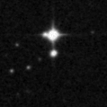 2020blw_image