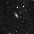 2020bnm_image