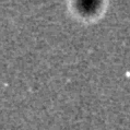 2020bzx_image