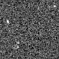 2020ccs_image