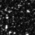 2020cjq_image