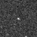 2020cnf_image