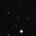 2020coa_image