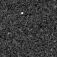 2020cov_image