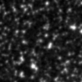 2020cr_image