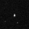 2020cus_image