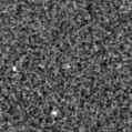 2020cvd_image