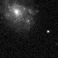 2020dbf_image