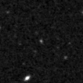 2020dcm_image