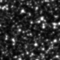 2020dfa_image