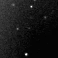 2020dga_image