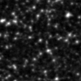 2020dgn_image