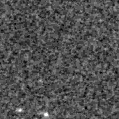 2020dhi_image