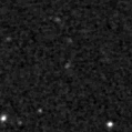 2020dlw_image