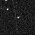 2020dmq_image