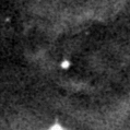 2020dmt_image