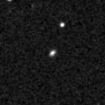 2020dpl_image