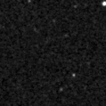 2020dqv_image
