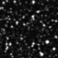 2020drd_image