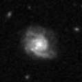 2020drr_image