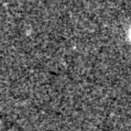 2020dti_image