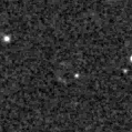 2020ebl_image