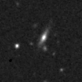 2020edv_image