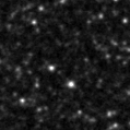 2020elx_image