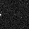 2020erw_image