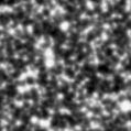 2020esj_image