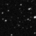 2020ewj_image