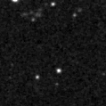 2020exd_image