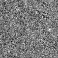 2020exj_image